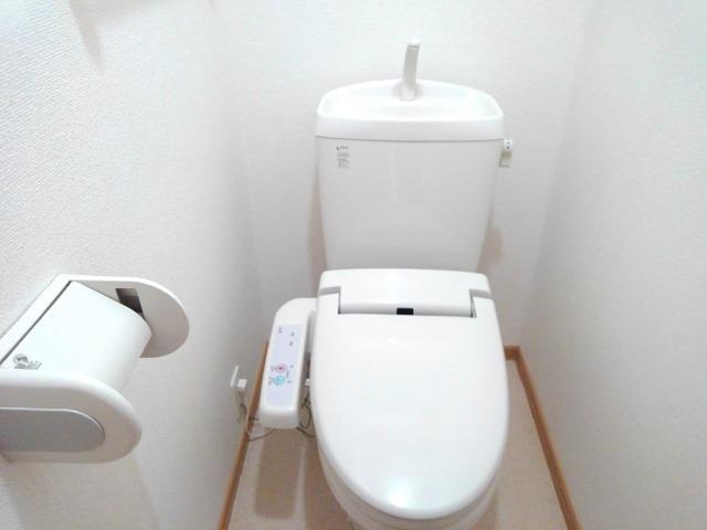 プリムロ－ズＢ その他2