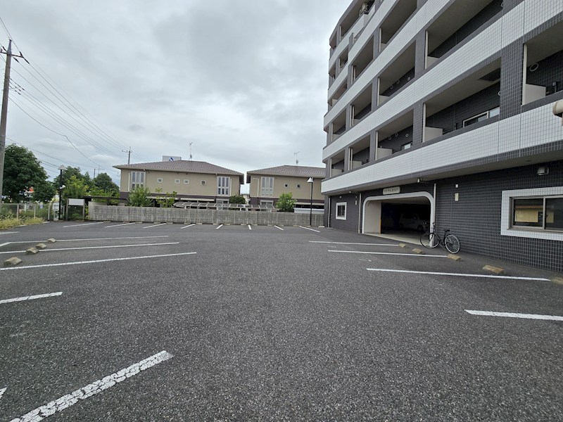 ロイヤル金信Ⅳ その他13
