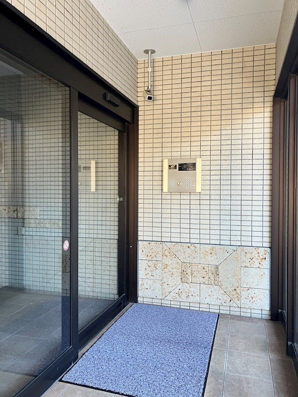 プラナス桜 その他4