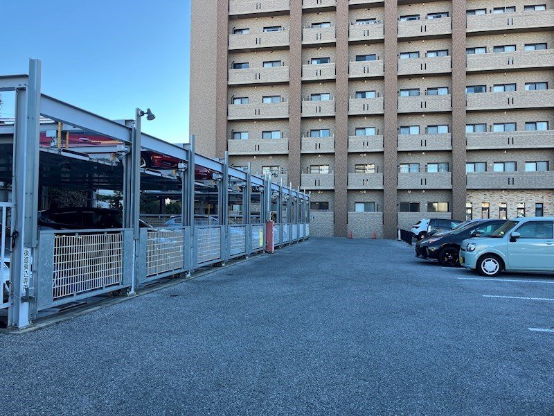 プラナス桜 その他6