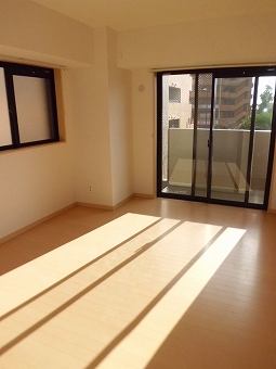 プラナス桜 その他10