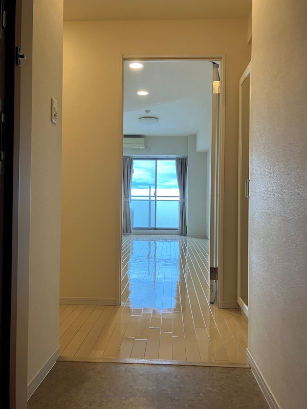 ビュー雷神Ⅲ 玄関