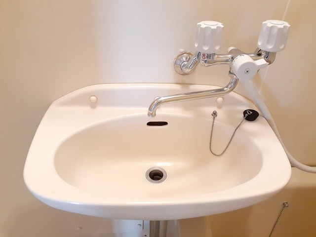 フランボワーズＢ その他2