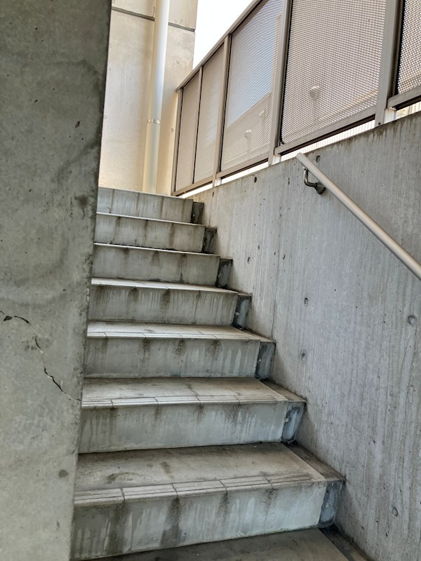 ファインクレストM その他22