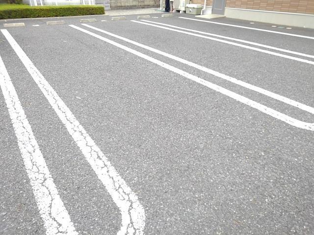 プリムロ－ズＢ その他5