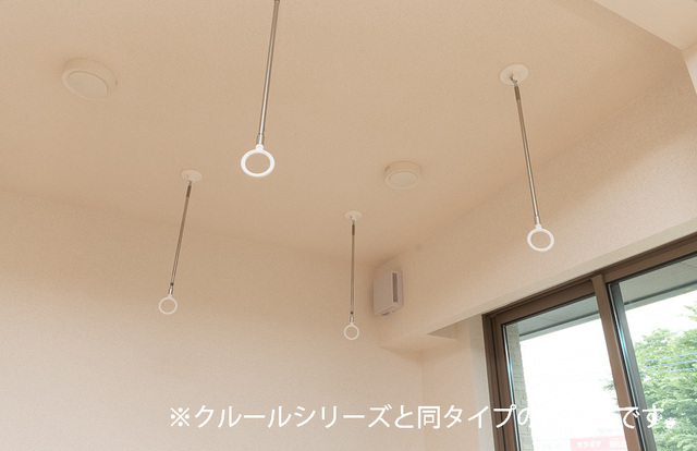 ベラ・ローザ その他5