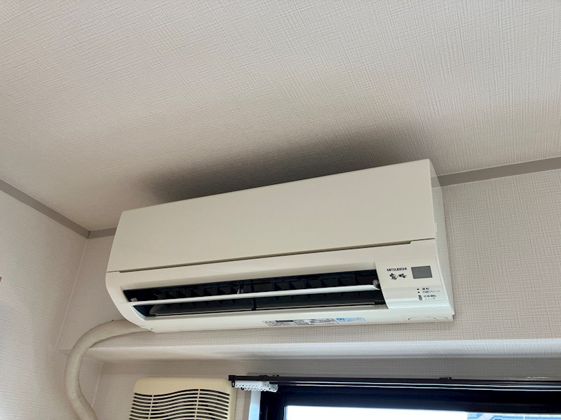 プラトー星 その他4