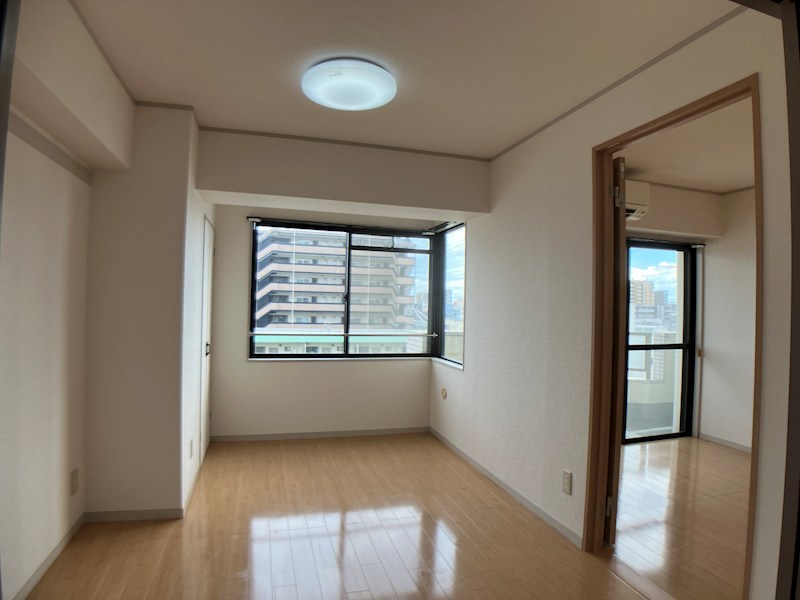 プラトー星 その他7