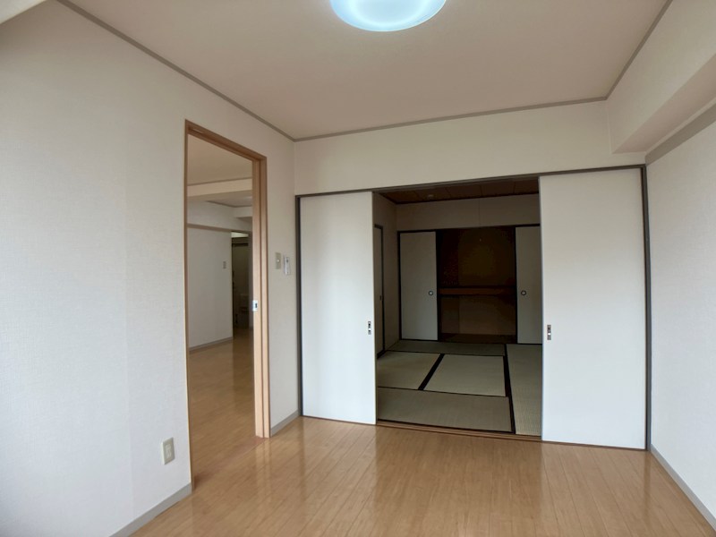 プラトー星 その他9