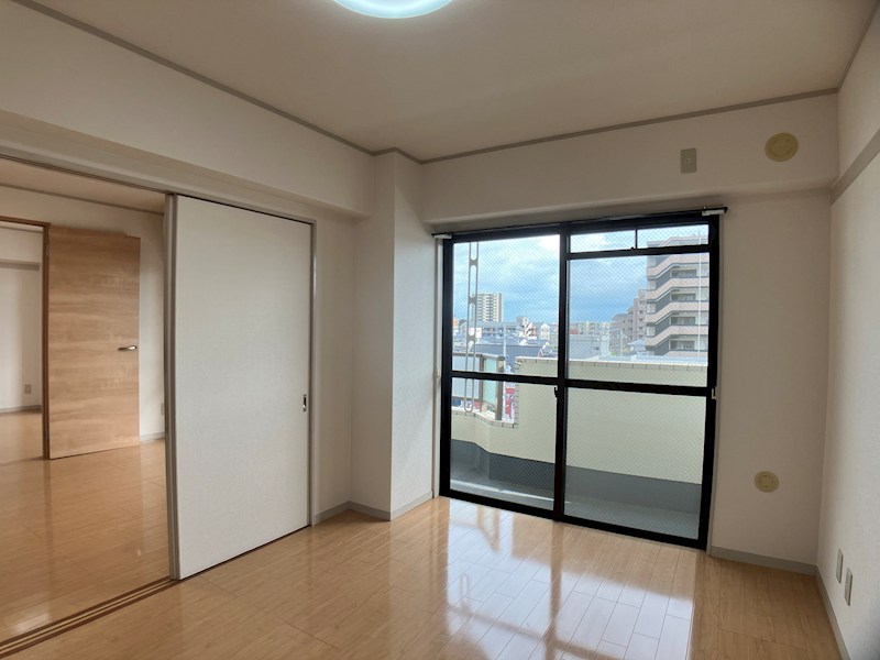 プラトー星 その他10