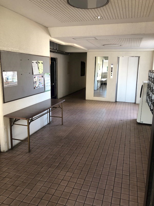 プラトー星 その他13