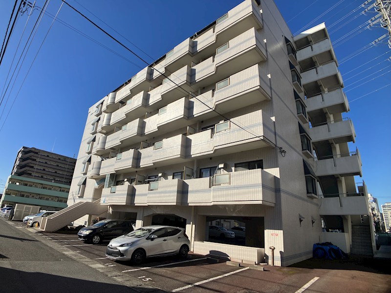 プラトー星 その他16