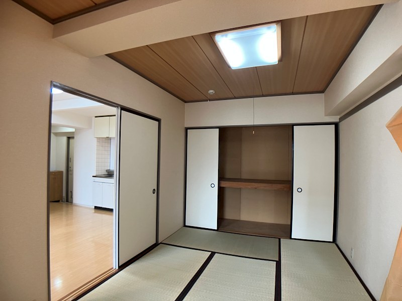 プラトー星 その他5