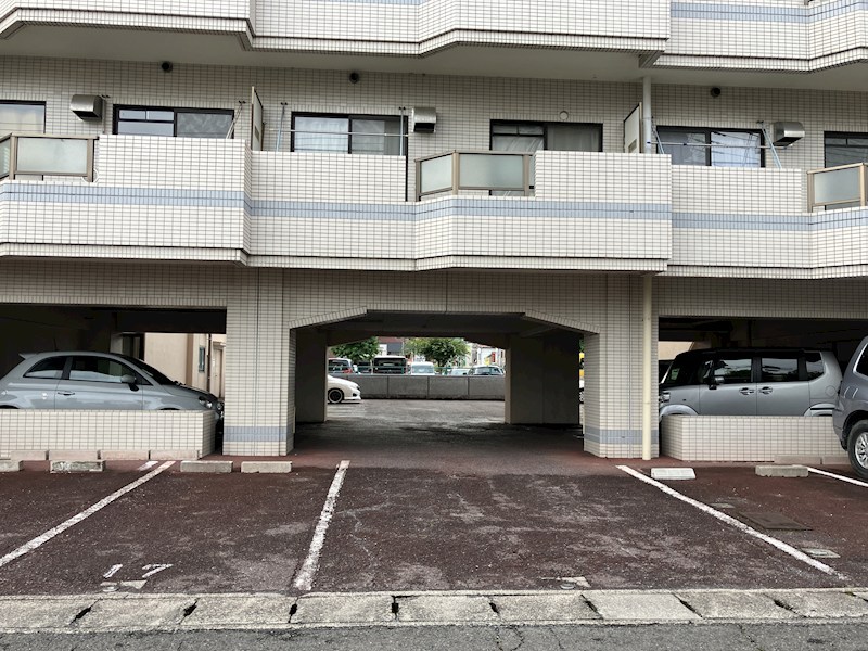 プラトー星 その他14