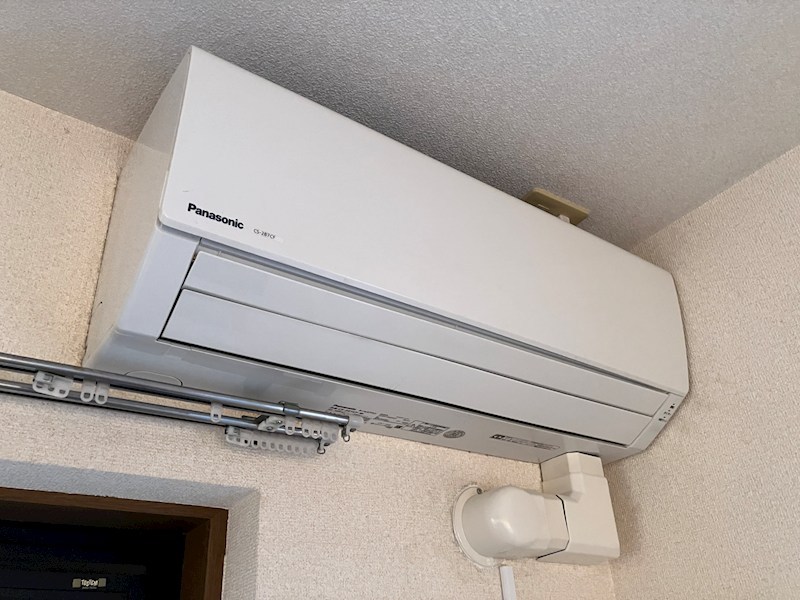 キング・ペレ その他4