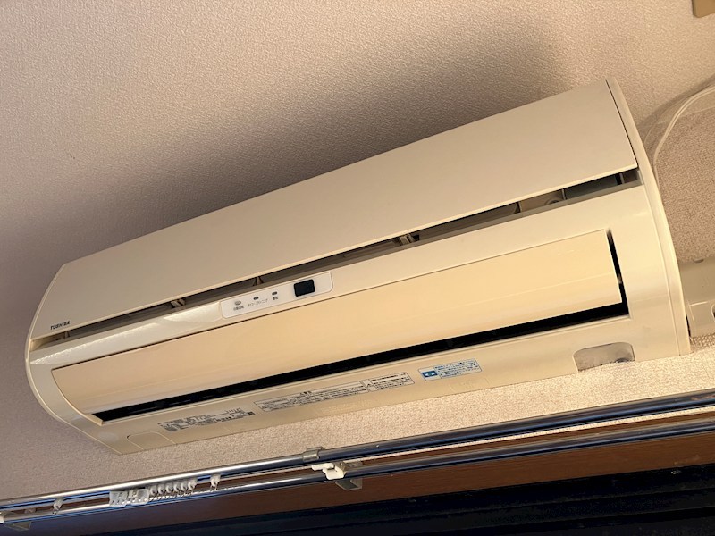 キング・ペレ その他12