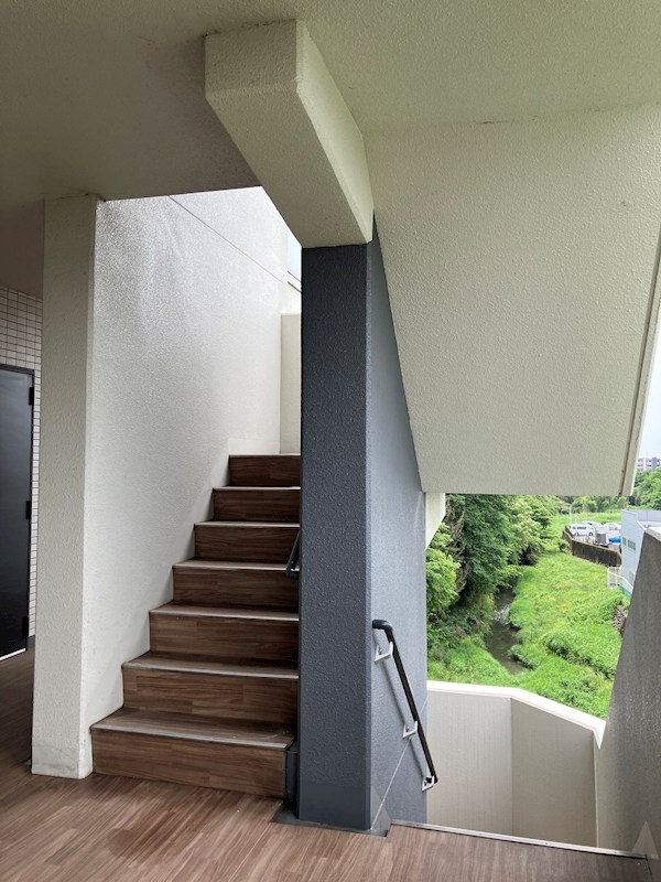 PLACIDES その他11