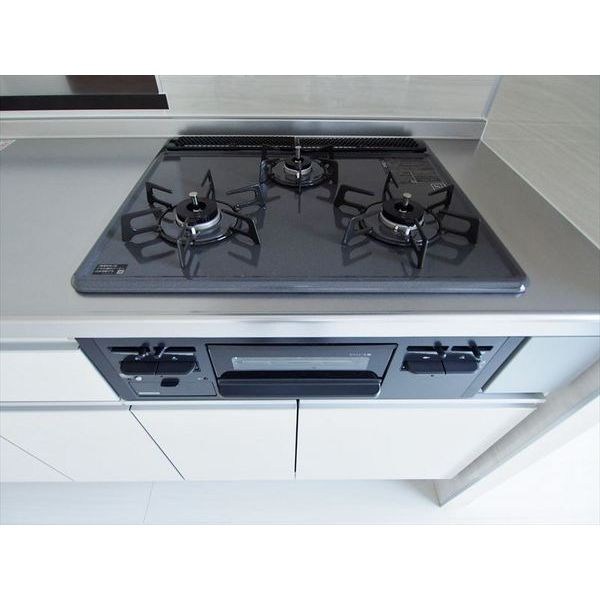 PLACIDES その他12