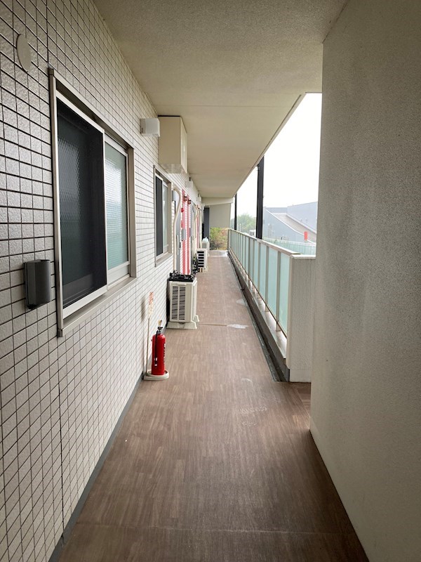 PLACIDES その他10