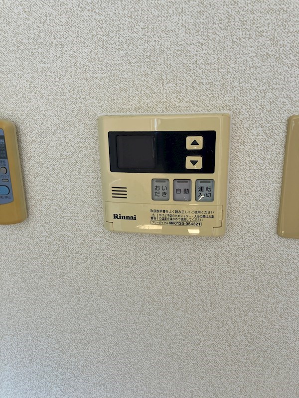 アランチーノ その他4