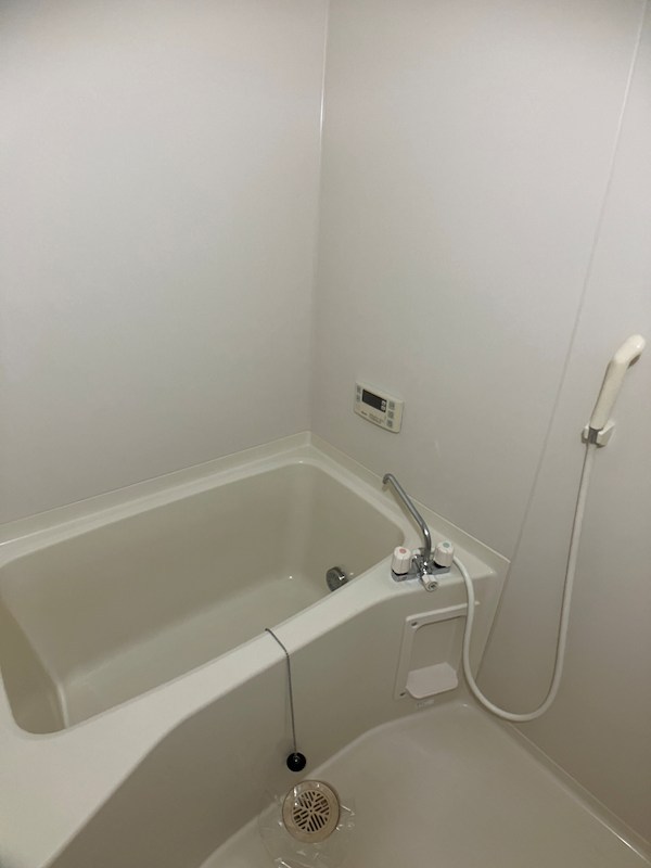 パレス・ド・ルミーネ 風呂画像