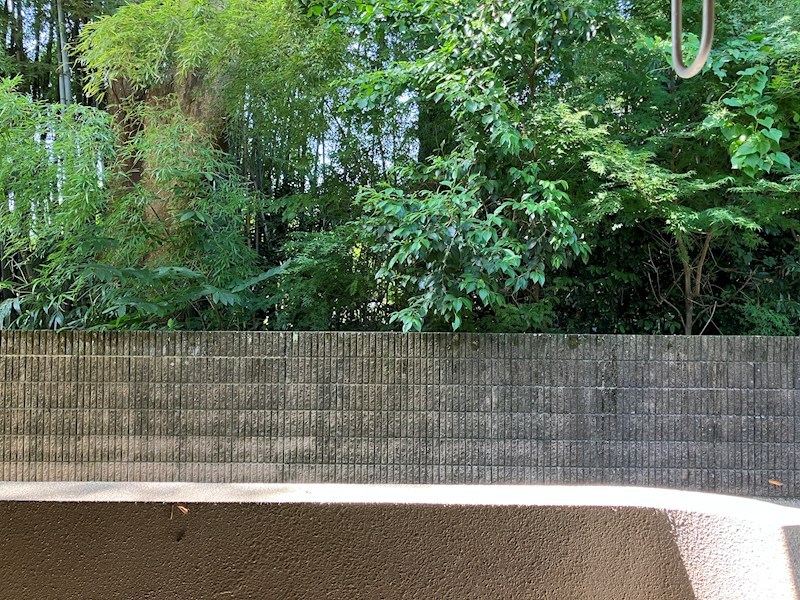 グリーンシャトリエⅡ その他7