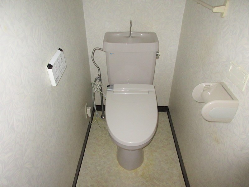 ベルヤナゼ その他2