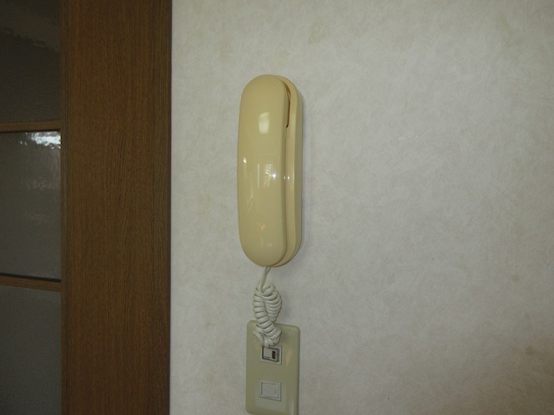 ベルヤナゼ その他4