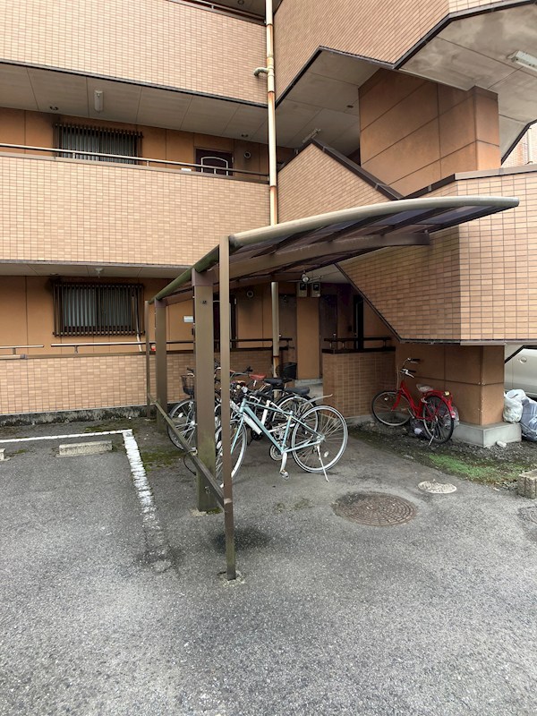 ベルヤナゼ その他14