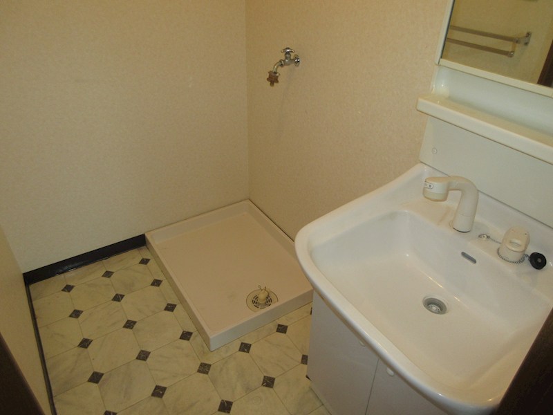 ベルヤナゼ その他1