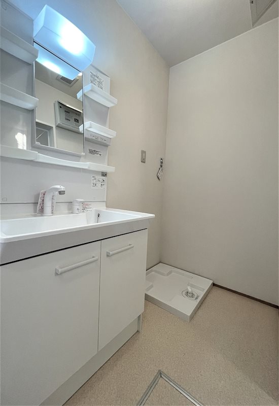 Lupinus（ルピナス） その他2