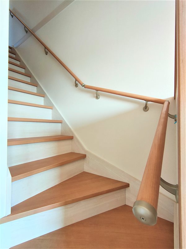 Lupinus（ルピナス） その他5