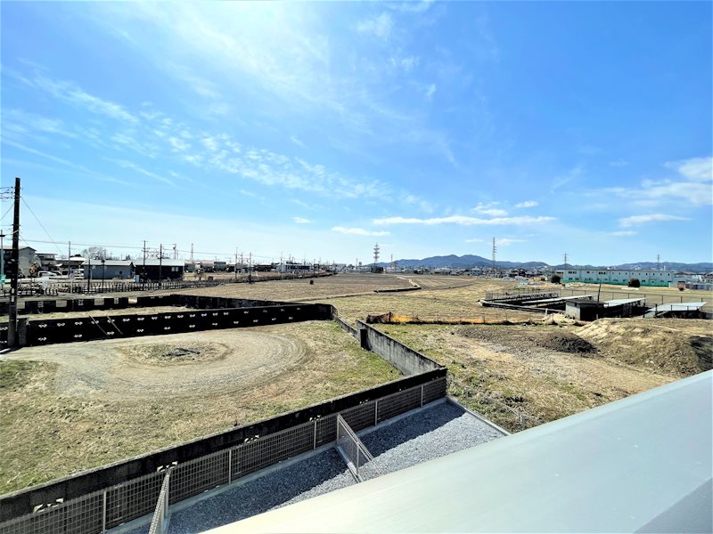 Lupinus（ルピナス） その他6