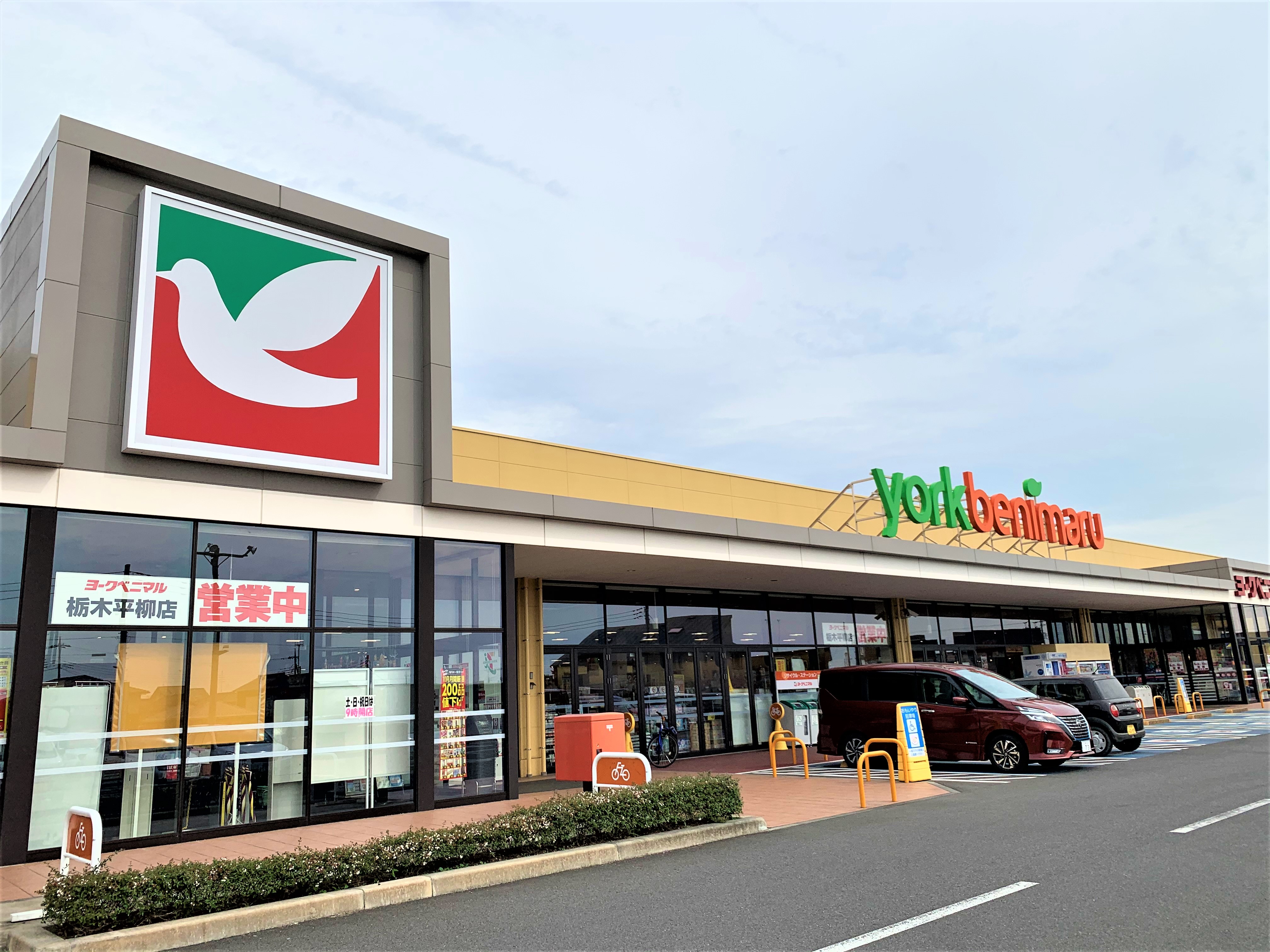 Lupinus（ルピナス） 周辺画像5