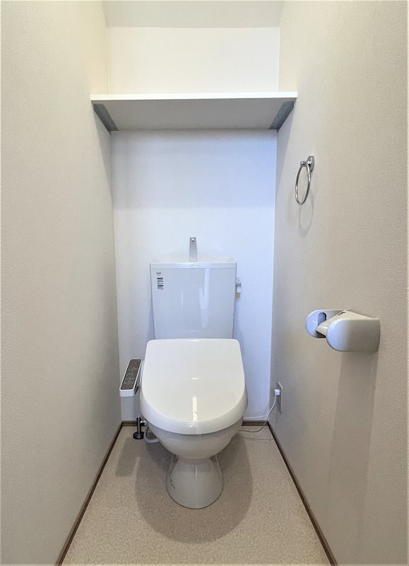 Lupinus（ルピナス） その他1