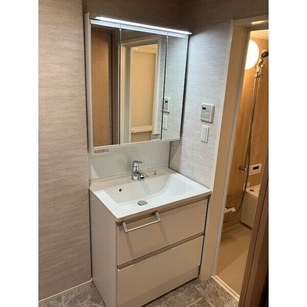 フィカーサイシイⅠ その他1