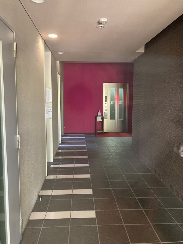 ビュー雷神Ⅲ その他15