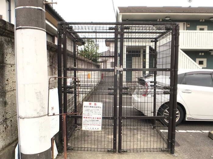 ピコリーノ その他2