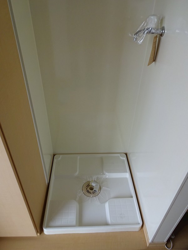 ピコリーノ その他5