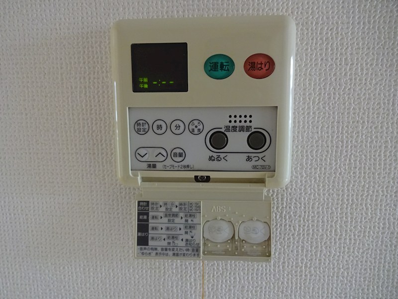 ピコリーノ その他10