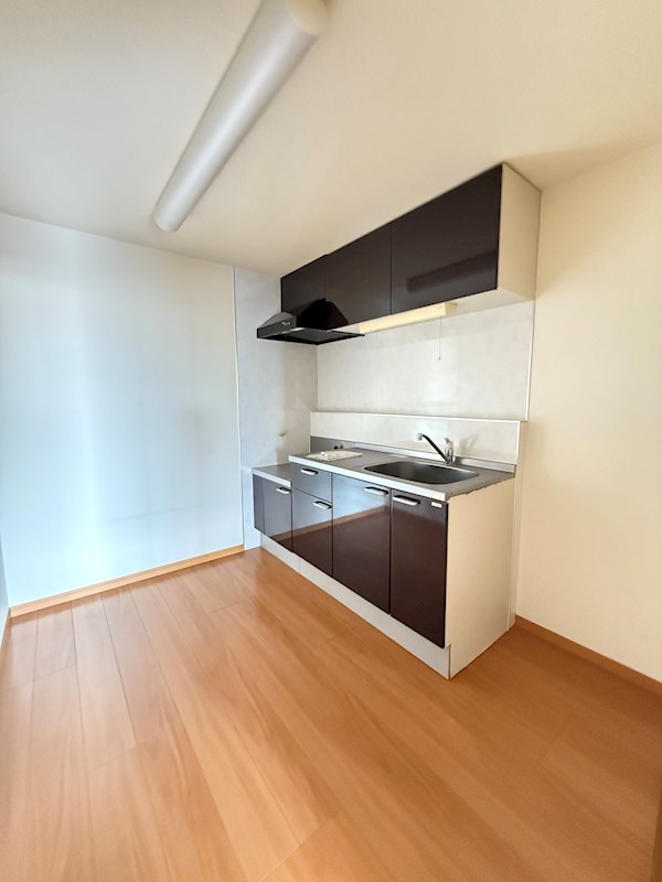 メゾン・ド・ナマイ キッチン