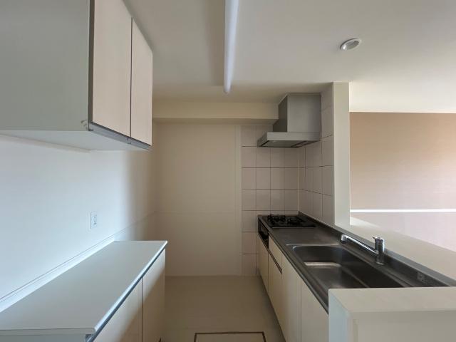 ゼファー・フィール その他10