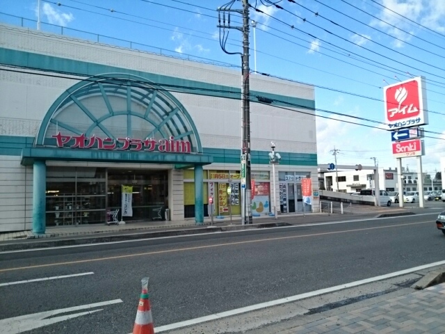 ヴィータ　セレーナＡ その他外観5