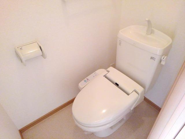 グレースぐみの木 その他2