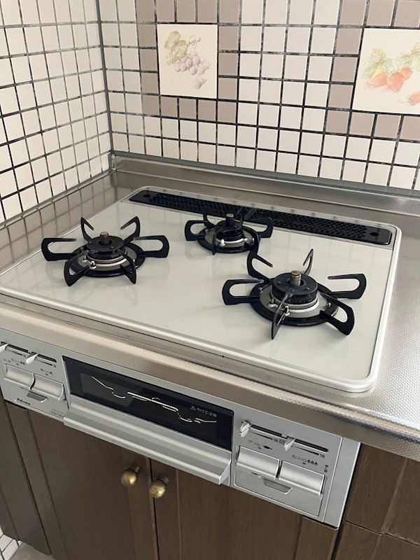 ナイスアーバン下河原 その他11