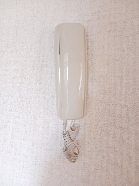 カラジューム雅Ｂ その他5