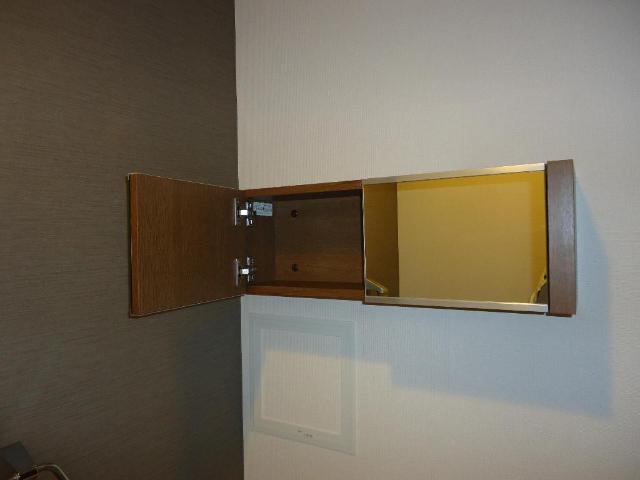 クオリア その他10