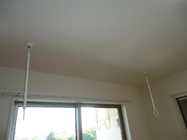 クオリア その他12