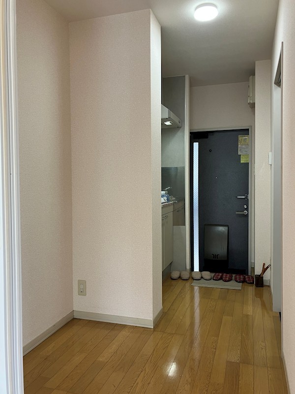 メゾン・ドラペA棟 その他8