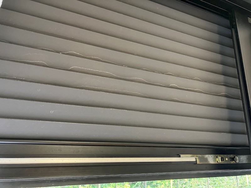 メゾン・ドラペA棟 その他10